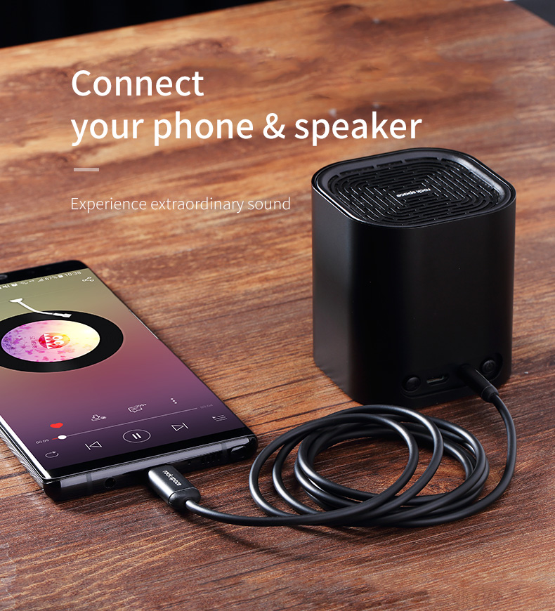 REGO Communication Sdn Bhd - Rock Space | rock space Type C to 3.5mm Audio Cable II