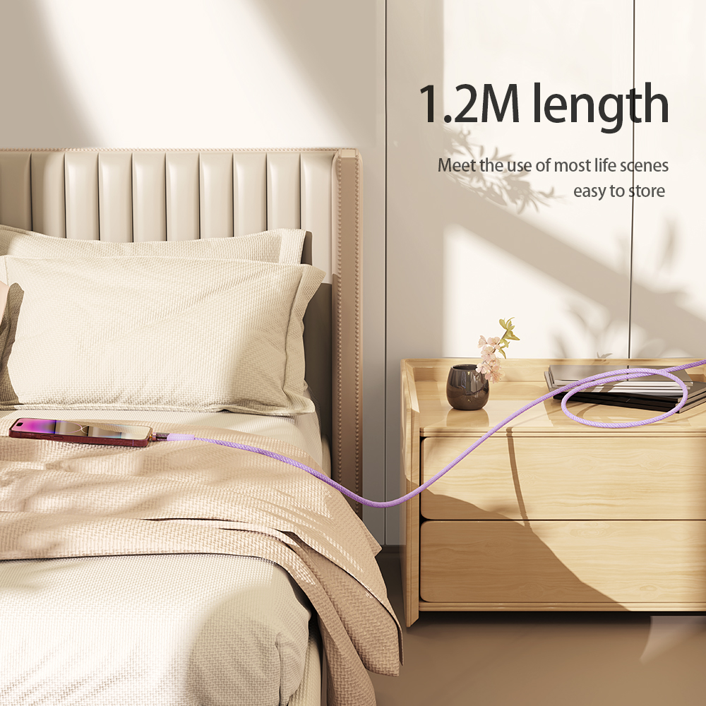 REGO Communication Sdn Bhd - Rock Space | ROCK Z21 PD Transparent Type C To iPhone Cable (33W)